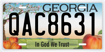 GA license plate QAC8631