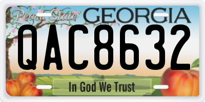 GA license plate QAC8632