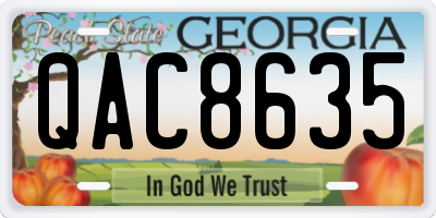 GA license plate QAC8635