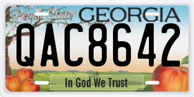 GA license plate QAC8642