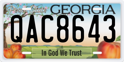 GA license plate QAC8643