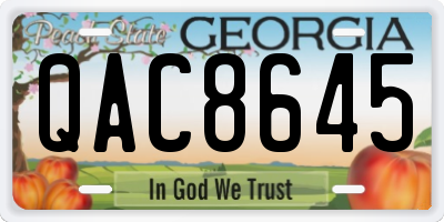 GA license plate QAC8645