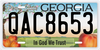 GA license plate QAC8653