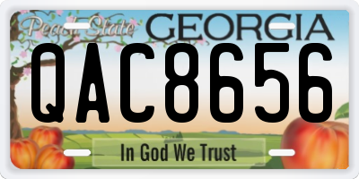 GA license plate QAC8656
