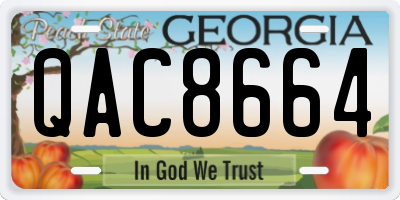 GA license plate QAC8664