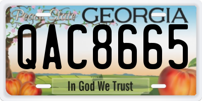 GA license plate QAC8665
