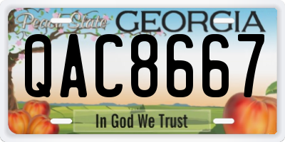 GA license plate QAC8667