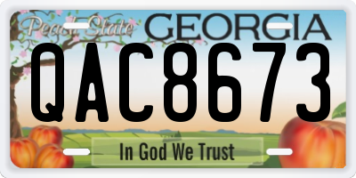 GA license plate QAC8673
