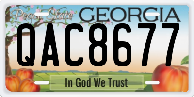 GA license plate QAC8677