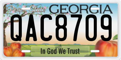 GA license plate QAC8709
