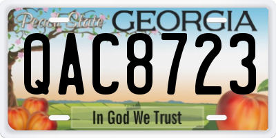 GA license plate QAC8723