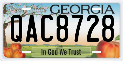 GA license plate QAC8728