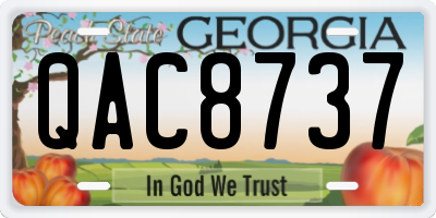 GA license plate QAC8737