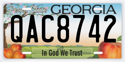 GA license plate QAC8742