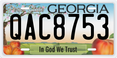 GA license plate QAC8753