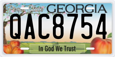 GA license plate QAC8754