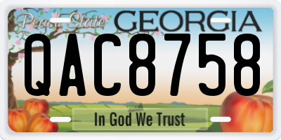 GA license plate QAC8758