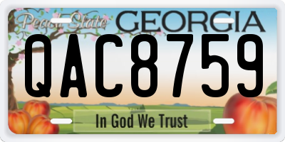 GA license plate QAC8759
