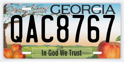 GA license plate QAC8767