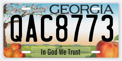 GA license plate QAC8773