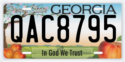GA license plate QAC8795
