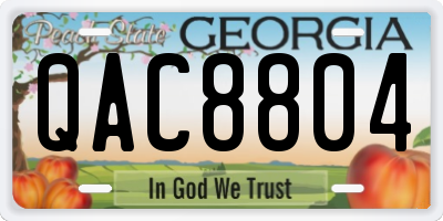 GA license plate QAC8804