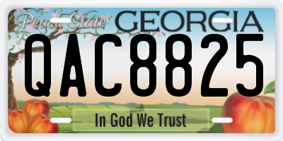 GA license plate QAC8825