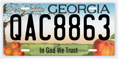 GA license plate QAC8863
