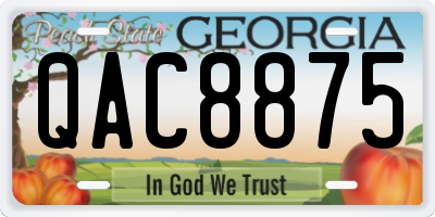GA license plate QAC8875