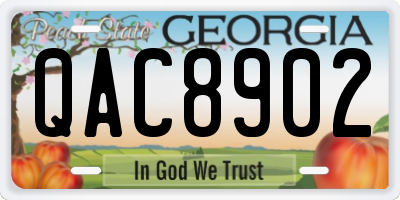 GA license plate QAC8902
