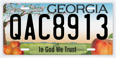 GA license plate QAC8913