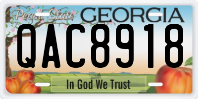 GA license plate QAC8918