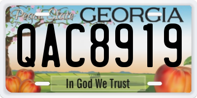 GA license plate QAC8919