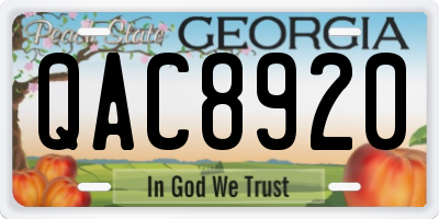 GA license plate QAC8920