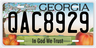GA license plate QAC8929