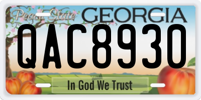 GA license plate QAC8930