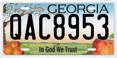 GA license plate QAC8953