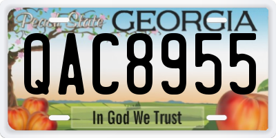 GA license plate QAC8955