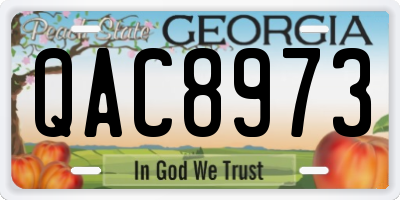 GA license plate QAC8973