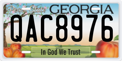 GA license plate QAC8976
