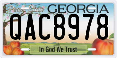 GA license plate QAC8978