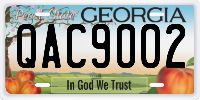 GA license plate QAC9002