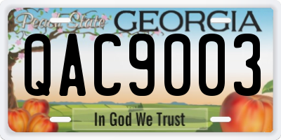 GA license plate QAC9003