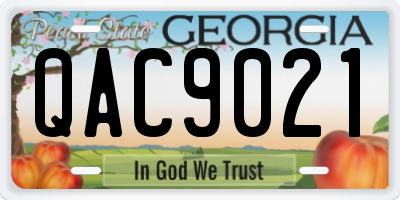 GA license plate QAC9021