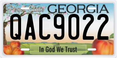 GA license plate QAC9022