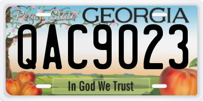 GA license plate QAC9023