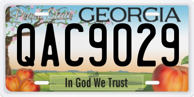 GA license plate QAC9029