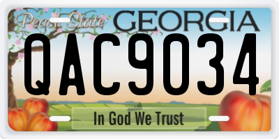 GA license plate QAC9034