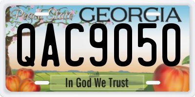 GA license plate QAC9050