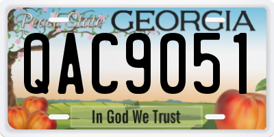 GA license plate QAC9051